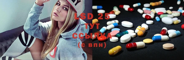 ГАЛЛЮЦИНОГЕННЫЕ ГРИБЫ Баксан
