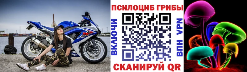Галлюциногенные грибы Magic Shrooms  Купить  Апшеронск 